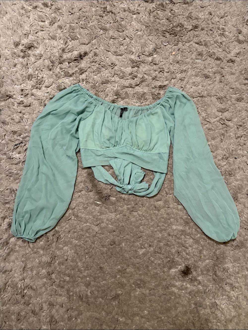Windsor Mint Green Puff-Sleeve Tie-Front Crop Top